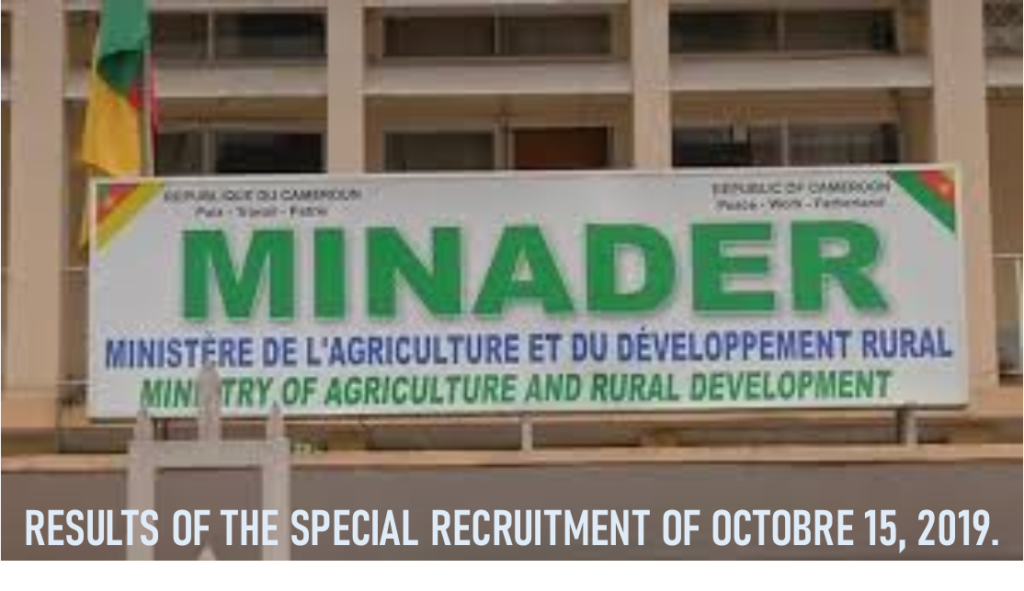 FINAL RESULTS OF THE SPECIAL RECRUITMENT OF OCTOBER 15, 2019.