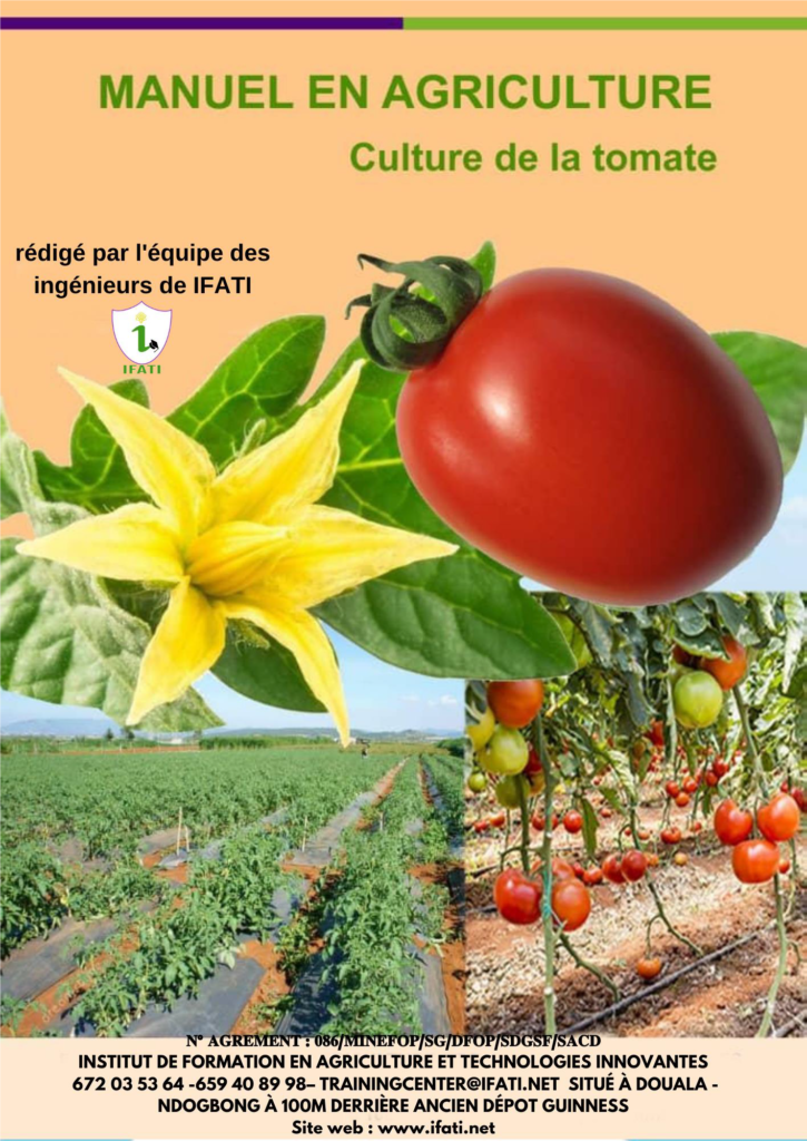 Tomato Growing Manual